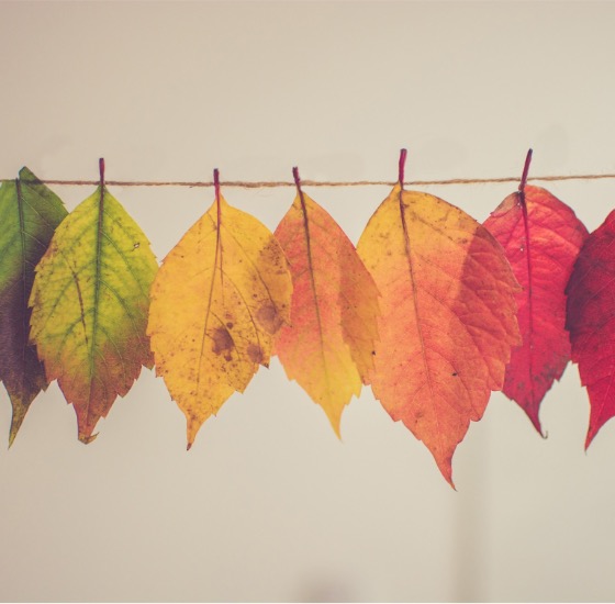 Change und agile Transformation